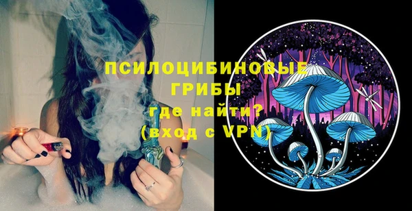 спиды Алзамай