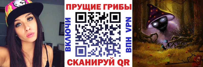 Псилоцибиновые грибы Psilocybine cubensis  Дедовск 